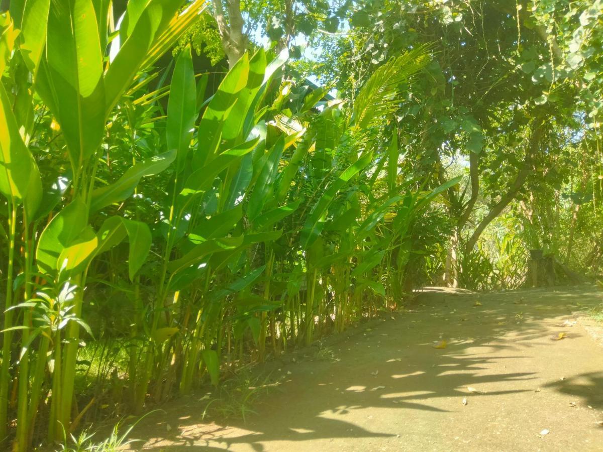 נוסא דואה Pier26 Bali Homestay מראה חיצוני תמונה